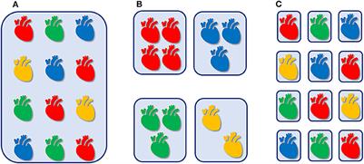 Individualized Hemodynamic Management in Newborns